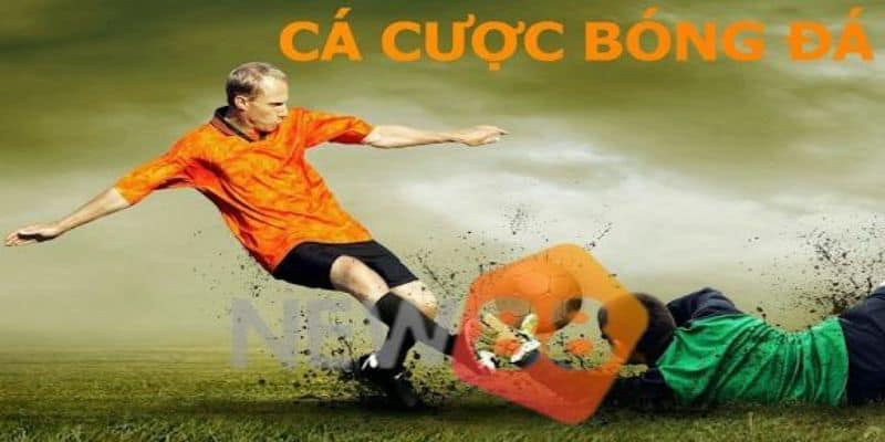 Hướng dẫn vào trang cá cược bóng đá New88 nhanh chóng 5 Trang cá cược bóng đá uy tín hiện nay