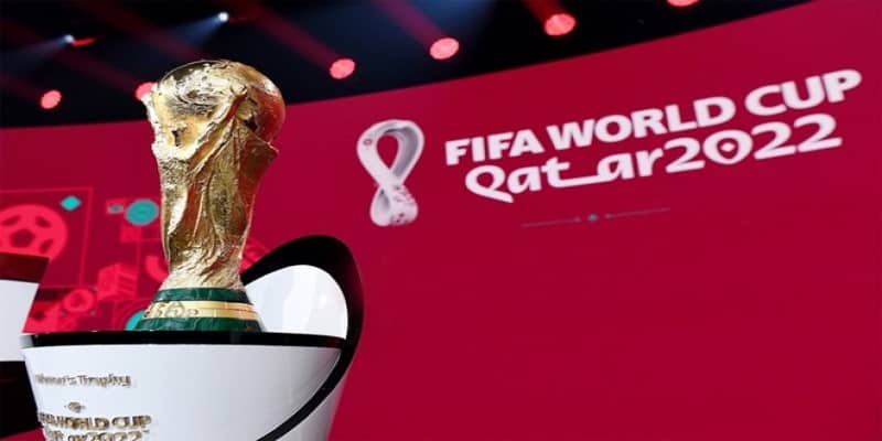Thông tin tổng quan về sự kiện World Cup 2022