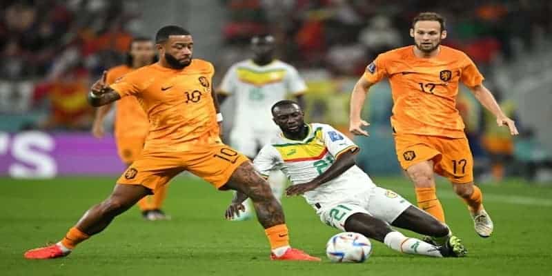 Hà Lan thắng nhọc đương kim vô địch châu Phi để có ngôi đầu 6 Hà Lan đã sẵn sàng cho lần quay trở lại đấu trường World Cup