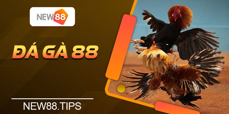 Hướng Dẫn Cá Cược Đá Gà 88 Xanh Chín, Tỷ Lệ Thắng Cao 4 Hướng Dẫn Cá Cược Đá Gà 88 Xanh Chín, Tỷ Lệ Thắng Cao