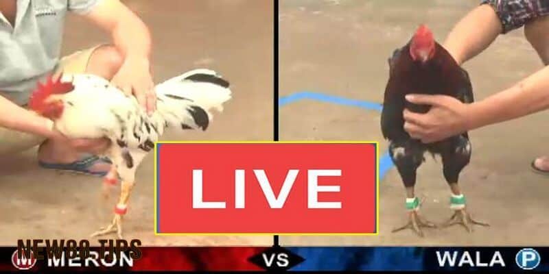 Xác định đúng thời điểm nên đặt cược